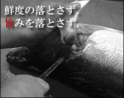 今が旬、五島列島産　寒ぶり