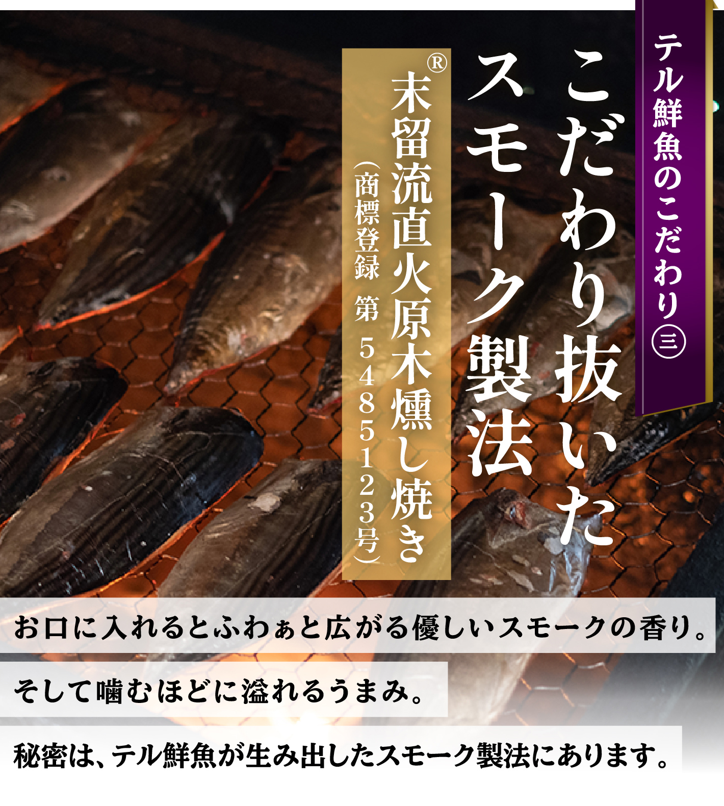 ほぐしかつお生節お試しセット［送料無料］※メール便の為、同梱不可