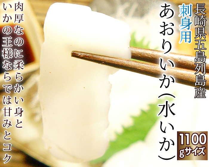 水いか（あおりいか） お刺身