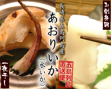 あおりいか（水いか） | 五島列島海鮮工房 テル鮮魚