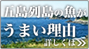 五島の魚がうまい理由