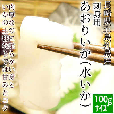 肢ijhgp [100gTCY]C̓A茧ܓ񓇎Y